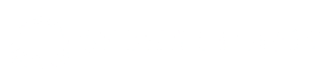 Stone Plunge